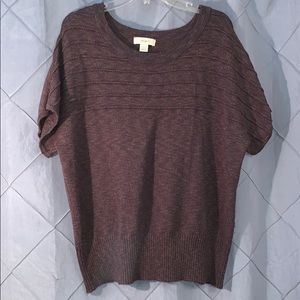 CJ banks rainbow sweater 1x